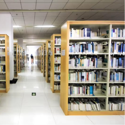 Home Office Library - Scaffali per libri bifacciali diretti in