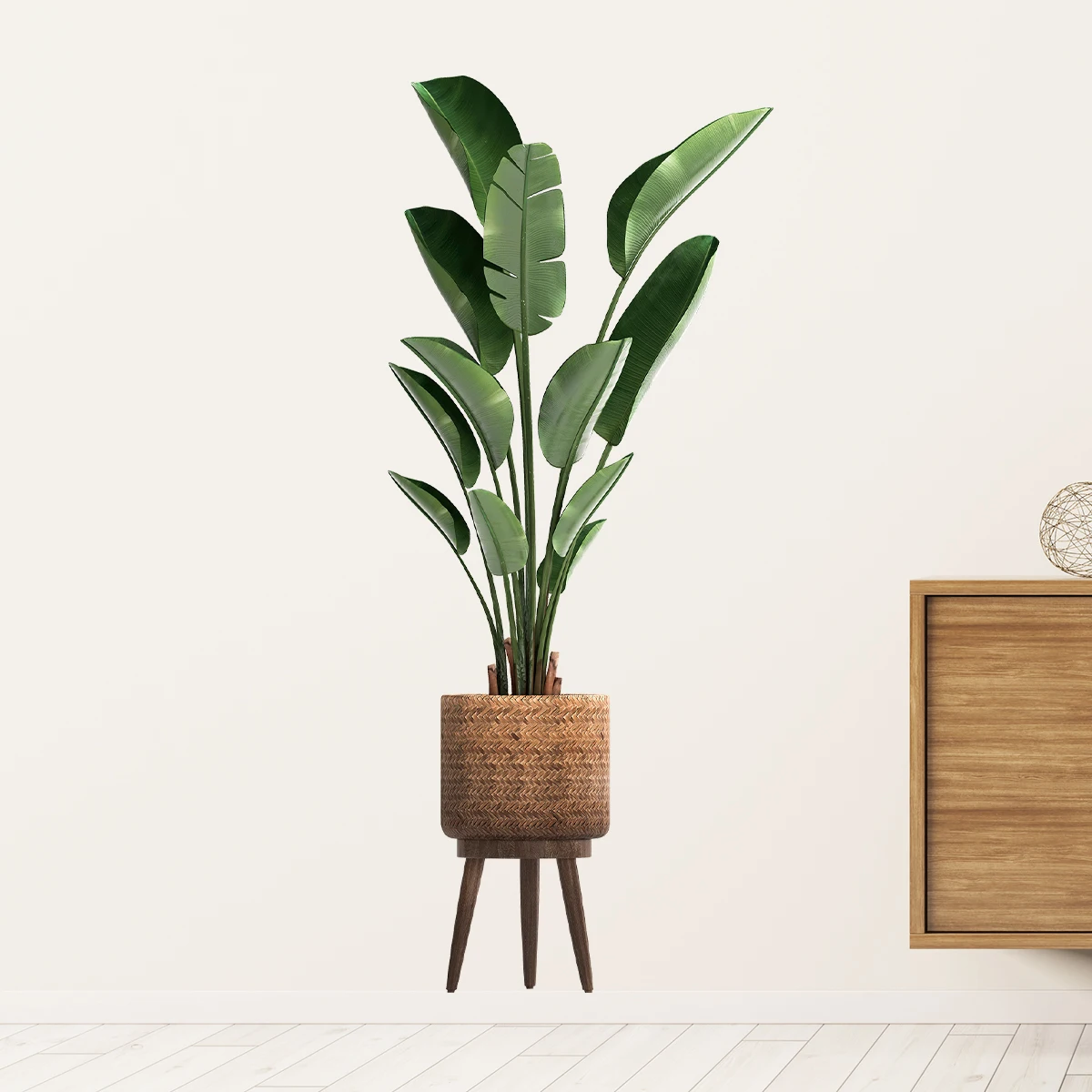 Simulazione Pianta verde Adesi - Home Office Layout recensione e prezzo