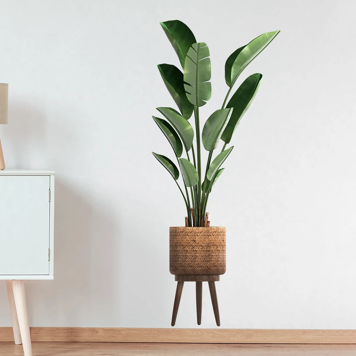 Simulazione Pianta verde Adesi - Home Office Layout recensione e prezzo