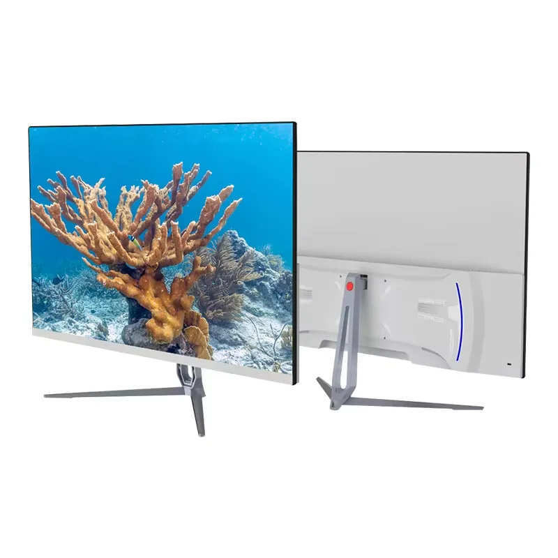 Monitor per Computer con Panne - Home Office Budget recensione e prezzo