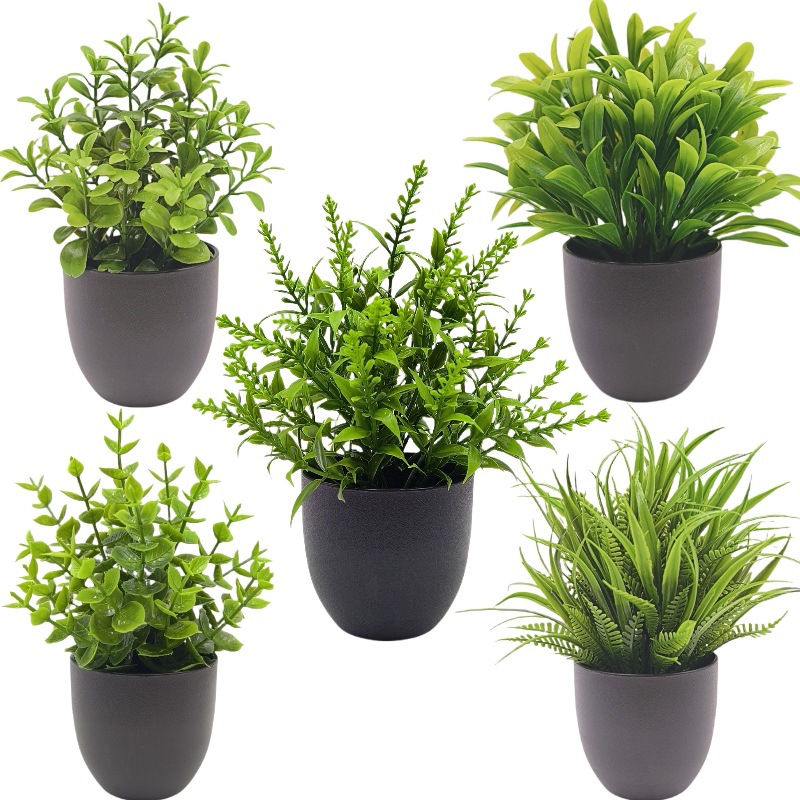 Bonsai Artificiale Verde per D - Home Office Layout recensione e prezzo