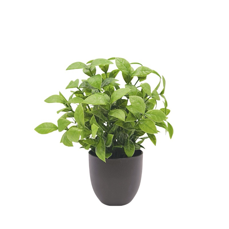 Bonsai Artificiale Verde per D - Home Office Layout recensione e prezzo